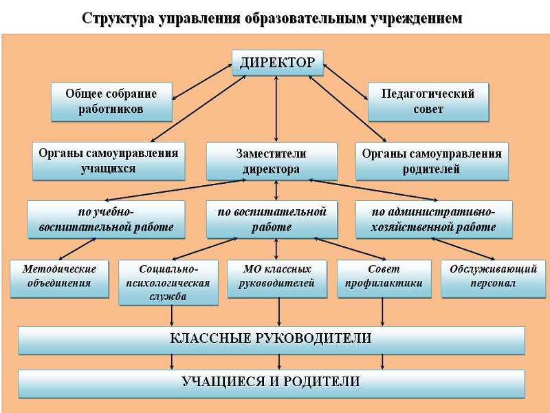 Структура и органы управления образовательной организацией.